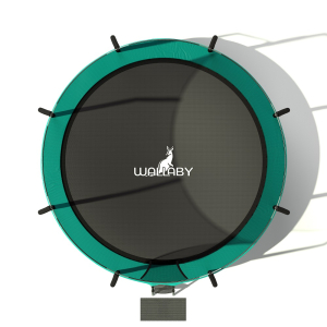 Батут Wallaby Sydney 12 FT Basketball