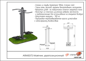 Уличный тренажёр маятник двухпозиционный ARMS ARMS072